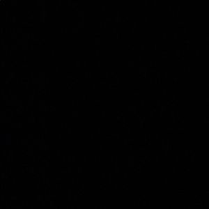 Meet your Posher, Mirisa